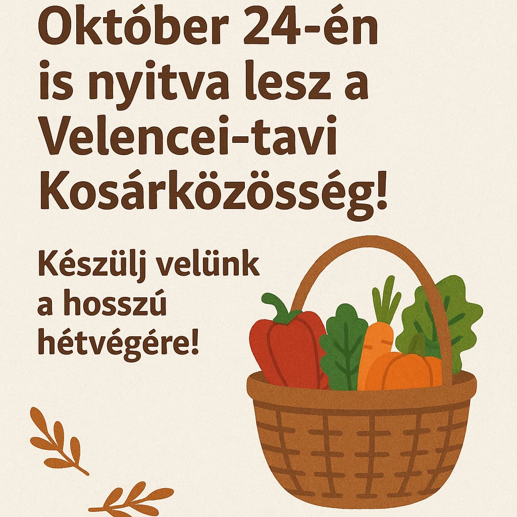 Őszi2