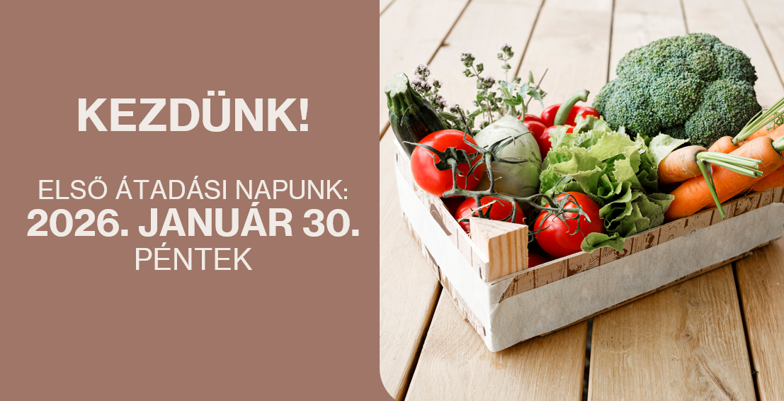 kezd_2026