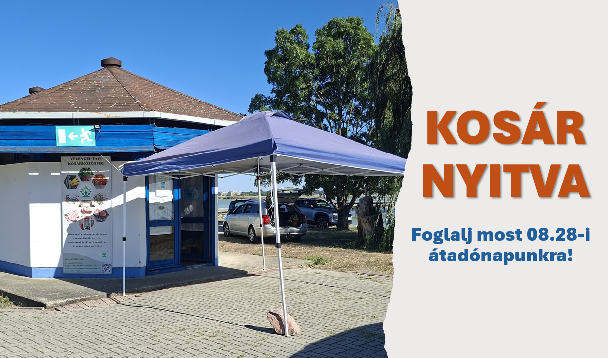 Nyitva_0828