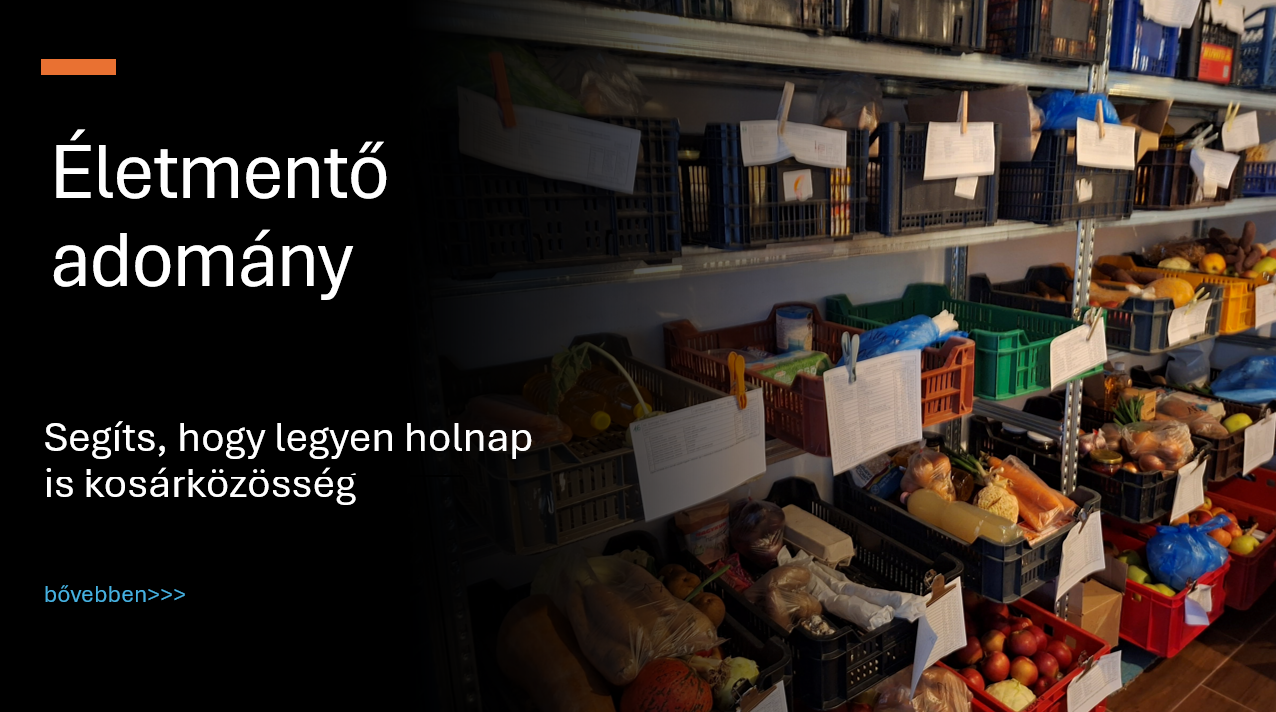 Eletmento_adomany